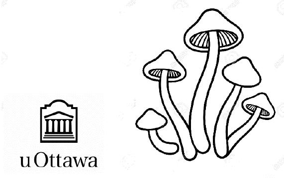 uOttawa and mushrooms